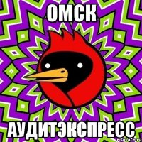 омск аудитэкспресс