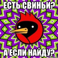 есть свиньи? а если найду?