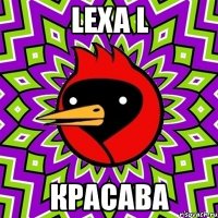 lexa l красава