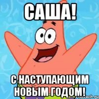 саша! с наступающим новым годом!