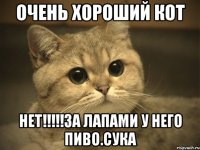 очень хороший кот нет!!!за лапами у него пиво.сука