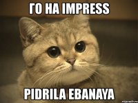 го на impress pidrila ebanaya