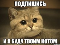 подпишись и я буду твоим котом