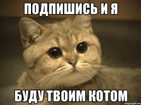 подпишись и я буду твоим котом