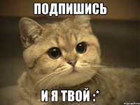 подпишись и я твой :*