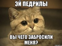 эй педрилы вы чего забросили меня?