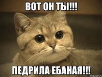 вот он ты!!! педрила ебаная!!!