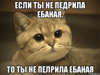 если ты не педрила ебаная, то ты не пелрила ебаная