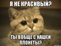 я не красивый? ты вобще с нашей плонеты?