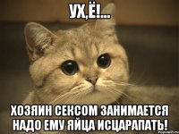 ух,ё!... хозяин сексом занимается надо ему яйца исцарапать!