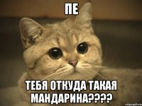 пе тебя откуда такая мандарина???