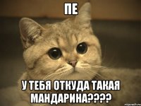 пе у тебя откуда такая мандарина???