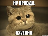 ну правда, ахуенно