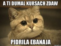 a ti dumal kursach zdaw pidrila ebanaja