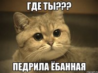 где ты??? педрила ёбанная