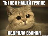 ты не в нашей группе педрила ебаная