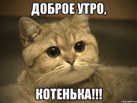 доброе утро, котенька!!!