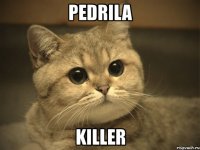 pedrila killer