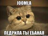 joomla педрила ты ебаная