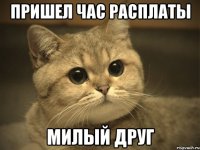 пришел час расплаты милый друг