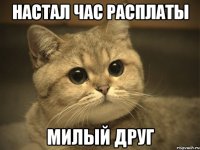 настал час расплаты милый друг