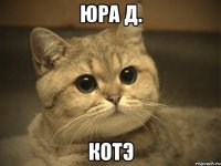 юра д. котэ