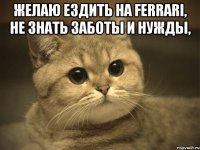 желаю ездить на ferrari, не знать заботы и нужды, 