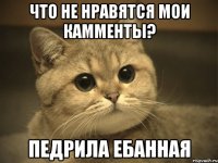 что не нравятся мои камменты? педрила ебанная