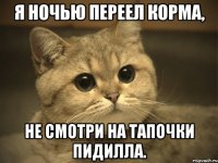 я ночью переел корма, не смотри на тапочки пидилла.