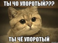 ты чо упоротый??? ты чё упоротый