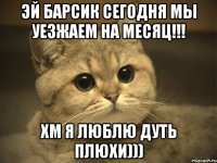 эй барсик сегодня мы уезжаем на месяц!!! хм я люблю дуть плюхи)))