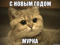 с новым годом мурка