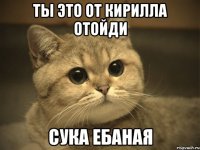 ты это от кирилла отойди сука ебаная