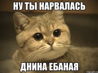 ну ты нарвалась днина ебаная