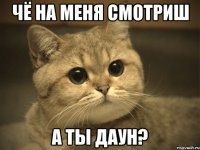 чё на меня смотриш а ты даун?