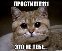 прости!!!111 это не тебе...