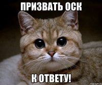 призвать оск к ответу!