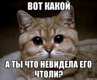 вот какой а ты что невидела его чтоли?