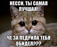 несси, ты самая лучшая! че за педрила тебя обидел???