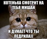котенька смотрит на тебя мишан и думает что ты педрила))