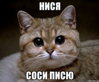 нися соси писю