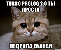 turbo prolog 2.0 ты просто педрила ебаная