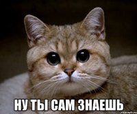  ну ты сам знаешь