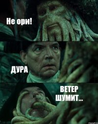 Не ори! ДУРА ВЕТЕР ШУМИТ...