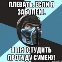 плевать, если я заболею. я простудить протуду сумею!