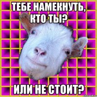 тебе намекнуть, кто ты? или не стоит?