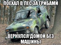 поехал в лес за грибами вернулся домой без машины