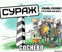  соснево