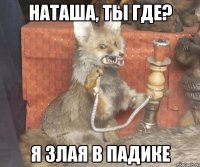 наташа, ты где? я злая в падике