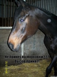 Не принесла морковки??? Вызов принят!